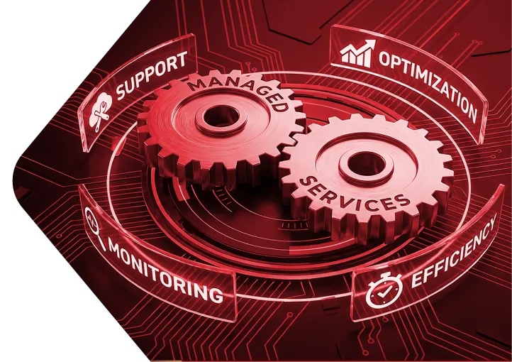 Pioneer Managed Services IT support